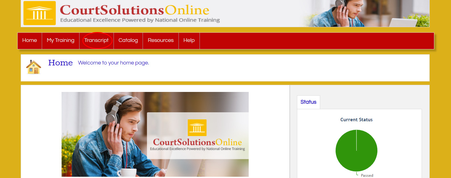 Court Solutions Online